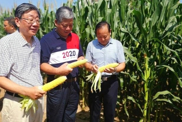 丹来福®大田试验