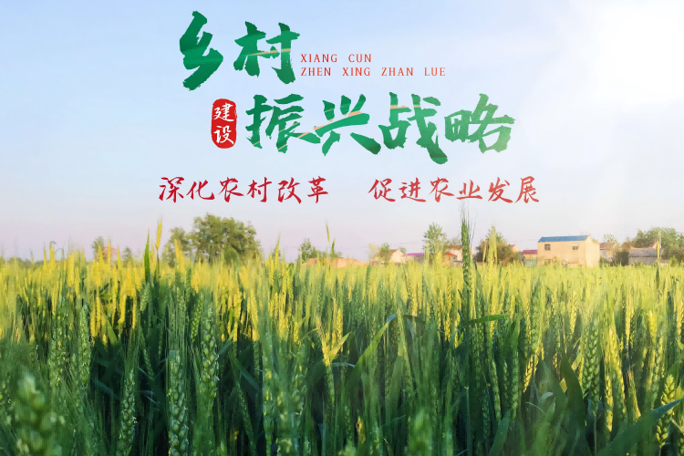 中共中央 国务院关于进一步深化农村改革 扎实推进乡村全面振兴的意见