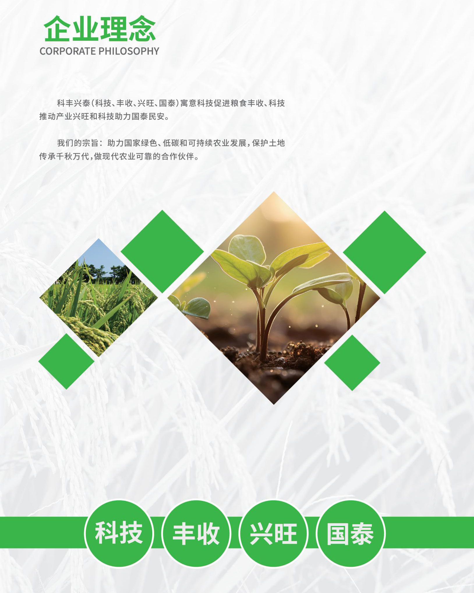 企业理念.jpg