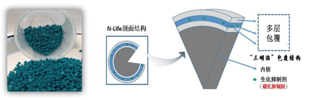 图片 4.png