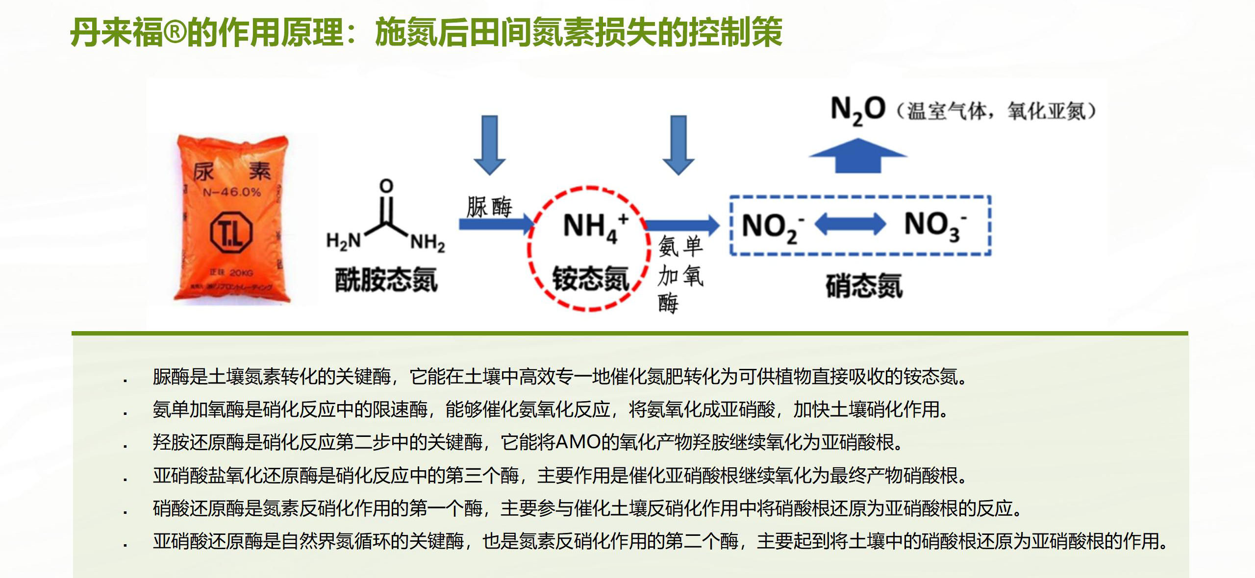 企业文化氛围内容设置方案_17.jpg