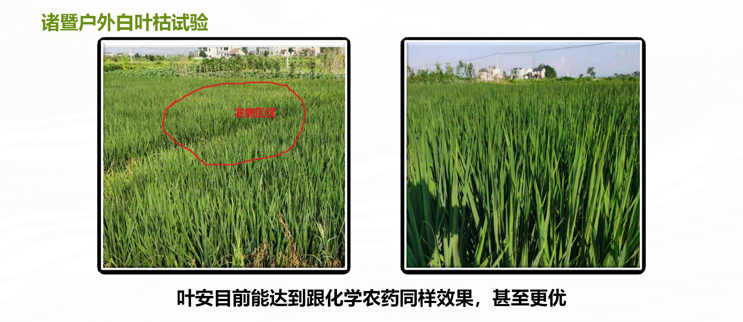 企业文化氛围内容设置方案_28.jpg