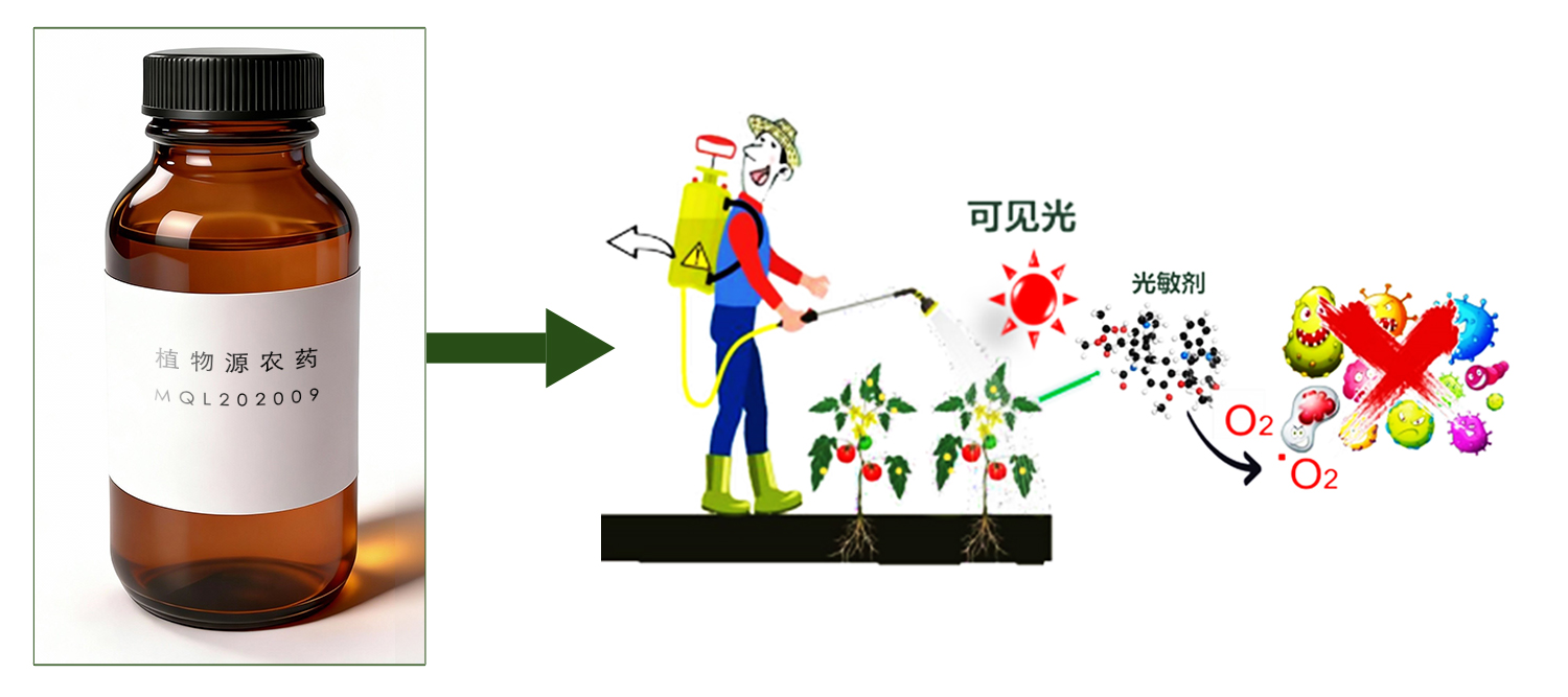 植物源农药-产品图-拷贝-3.jpg