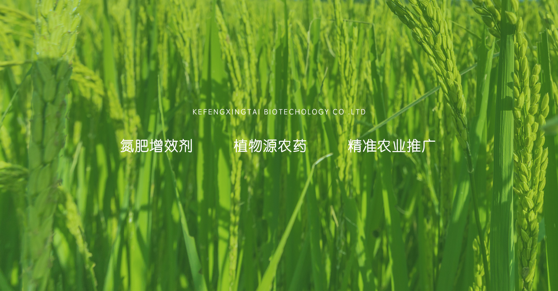 通栏图片