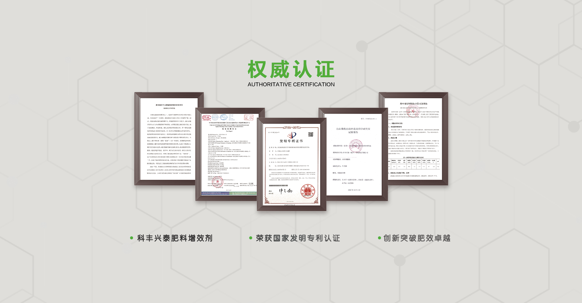 通栏图片